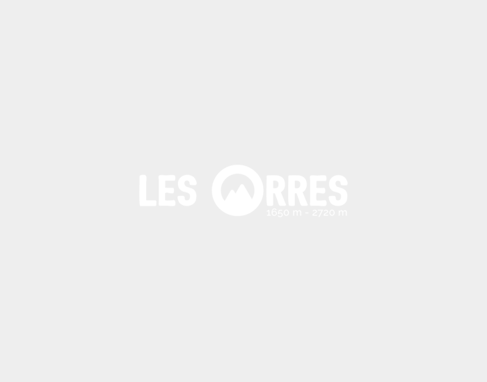 logo-web-95