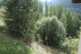 210520001_77_77i_1793357591.jpg
