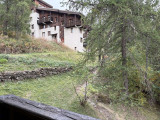 210520001_903_903i_1791476910.jpg