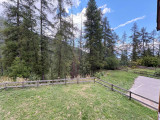 210520001_905_905p_1793292082.jpg