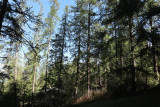 _clients_210520001_photos_590k_12282411