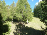 _clients_210520001_photos_66i_12136568