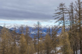 LocationAppartementLesOrres_AgenceDesOrres_BMD502