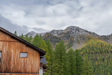 LocationAppartementLesOrres_AgenceDesOrres_TSO3206