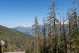 LocationAppartementLesOrres_AgenceDesOrres_OUS52