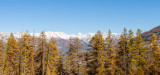 LocationAppartementLesOrres_AgenceDesOrres_MZ1106