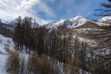LocationAppartementLesOrres_AgenceDesOrres_BMB101