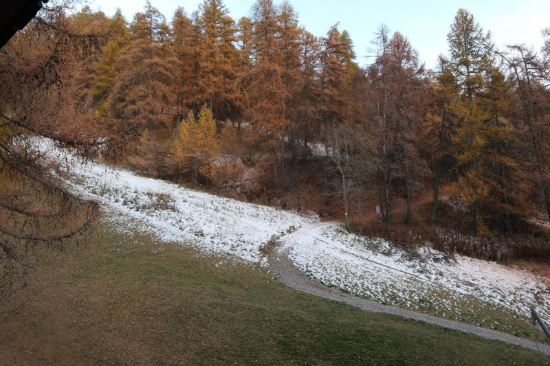 _clients_210520001_photos_101h_10436759