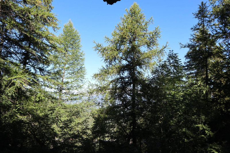 _clients_210520001_photos_103h_12203804 _clients_210520001_photos_103h_12203804