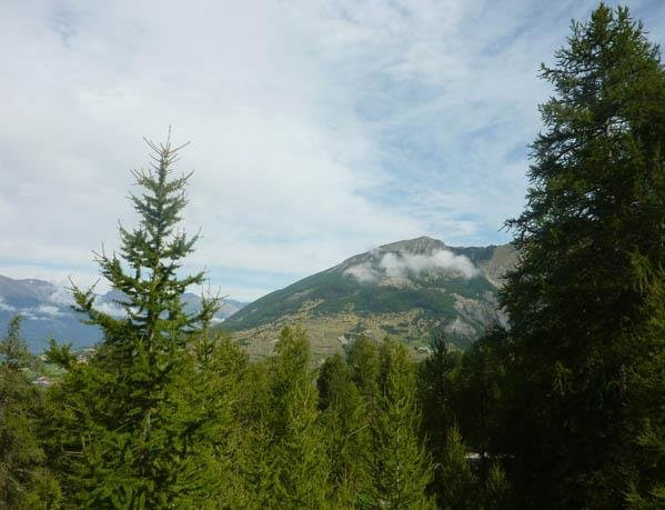 _clients_210520001_photos_140i_11164755