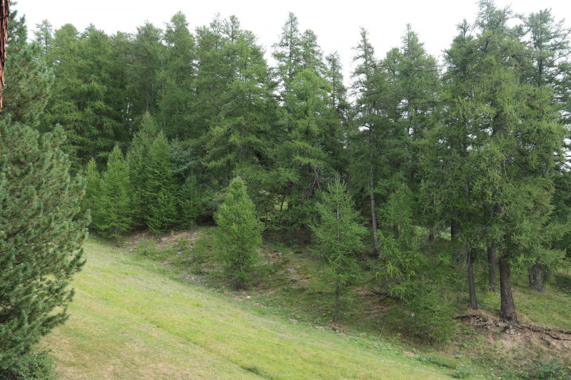 _clients_210520001_photos_218k_10646521