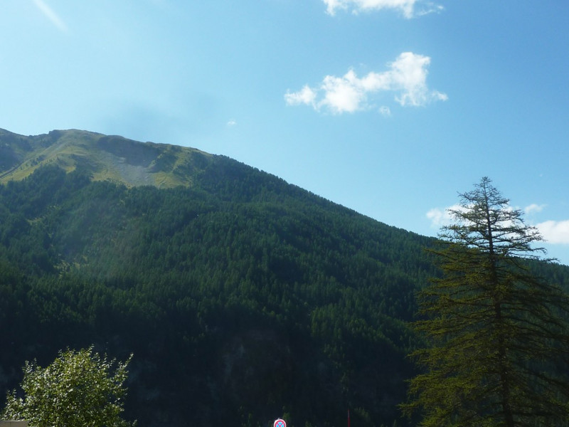 _clients_210520001_photos_237k_10479339