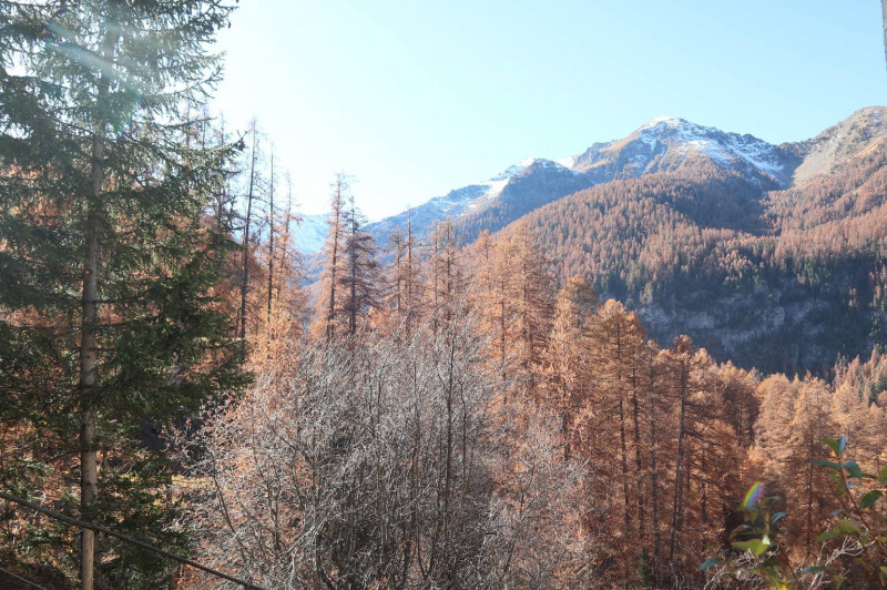 _clients_210520001_photos_239j_10554595 _clients_210520001_photos_239j_10554595