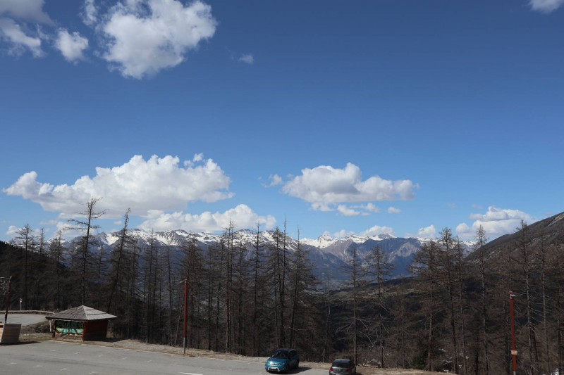 _clients_210520001_photos_252i_10262721