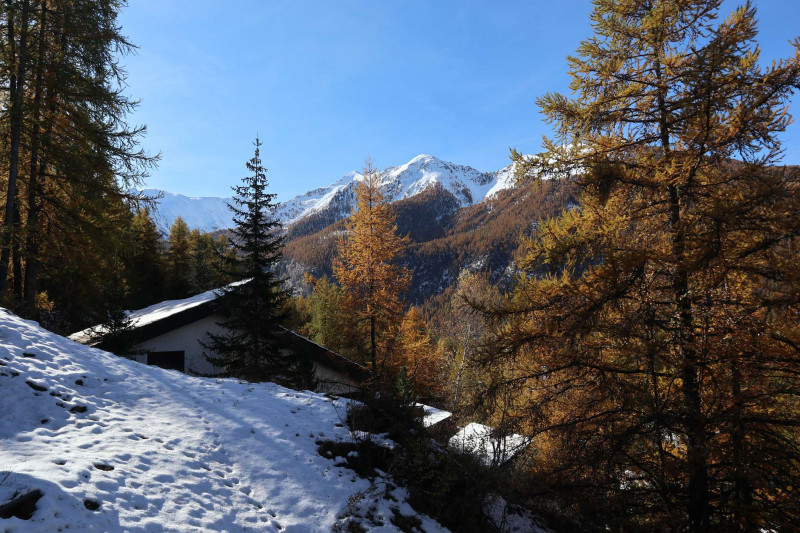 _clients_210520001_photos_293i_12142232 _clients_210520001_photos_293i_12142232