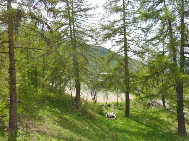 _clients_210520001_photos_315h_10780966