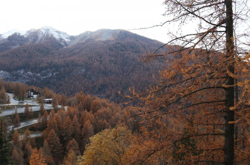 _clients_210520001_photos_353i_10454867 _clients_210520001_photos_353i_10454867