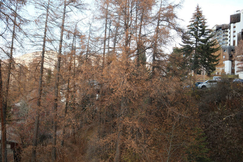 _clients_210520001_photos_353j_11182635