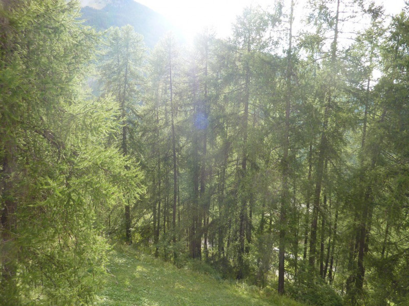 _clients_210520001_photos_379i_10831557