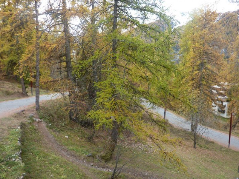 _clients_210520001_photos_397k_10446865