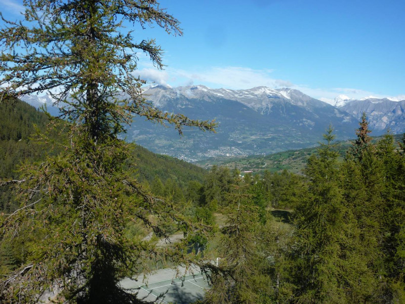 _clients_210520001_photos_407l_10756410 _clients_210520001_photos_407l_10756410