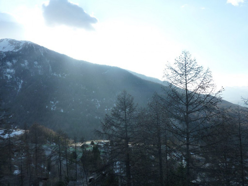 _clients_210520001_photos_413n_9905093 _clients_210520001_photos_413n_9905093