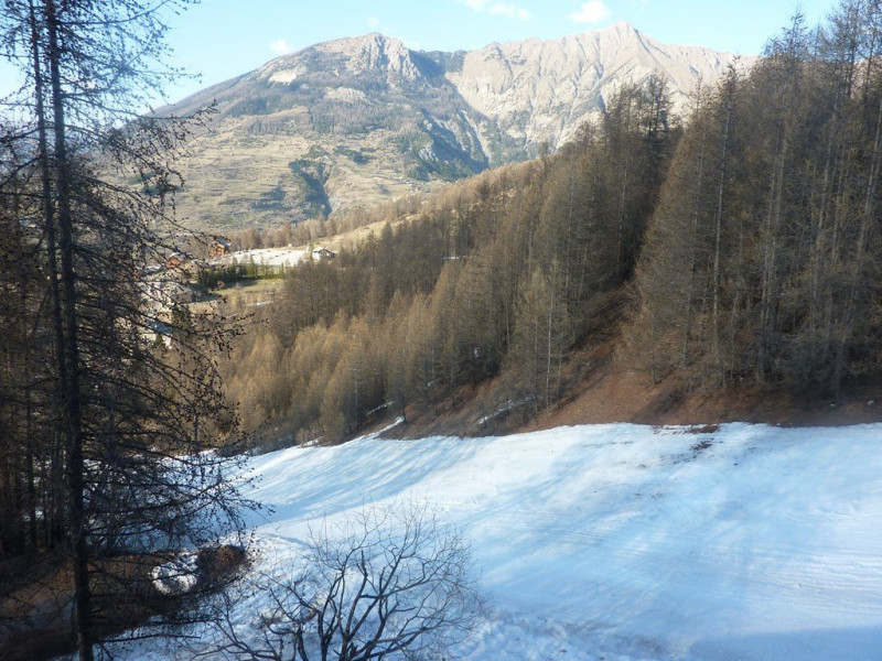 _clients_210520001_photos_413o_12258818 _clients_210520001_photos_413o_12258818