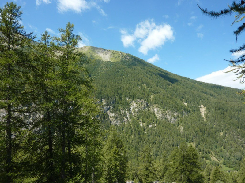 _clients_210520001_photos_415k_10622505 _clients_210520001_photos_415k_10622505