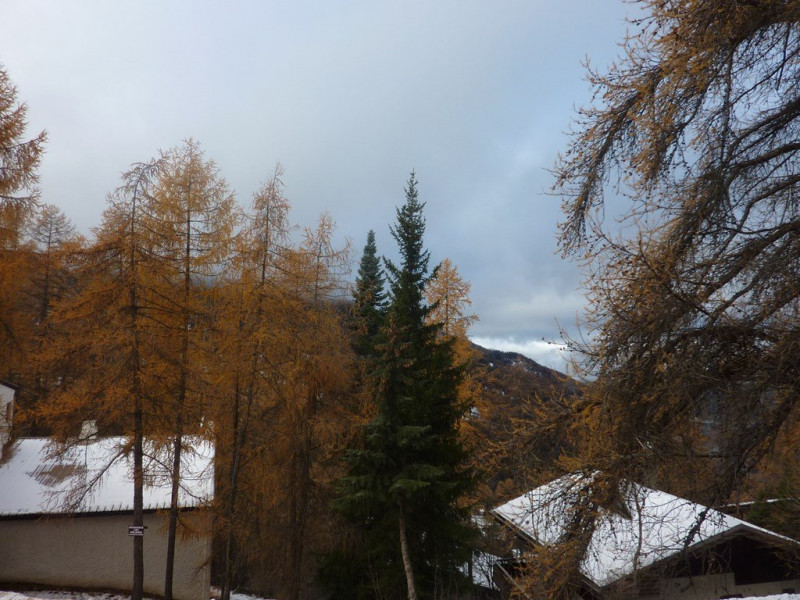 _clients_210520001_photos_438i_10213774 _clients_210520001_photos_438i_10213774