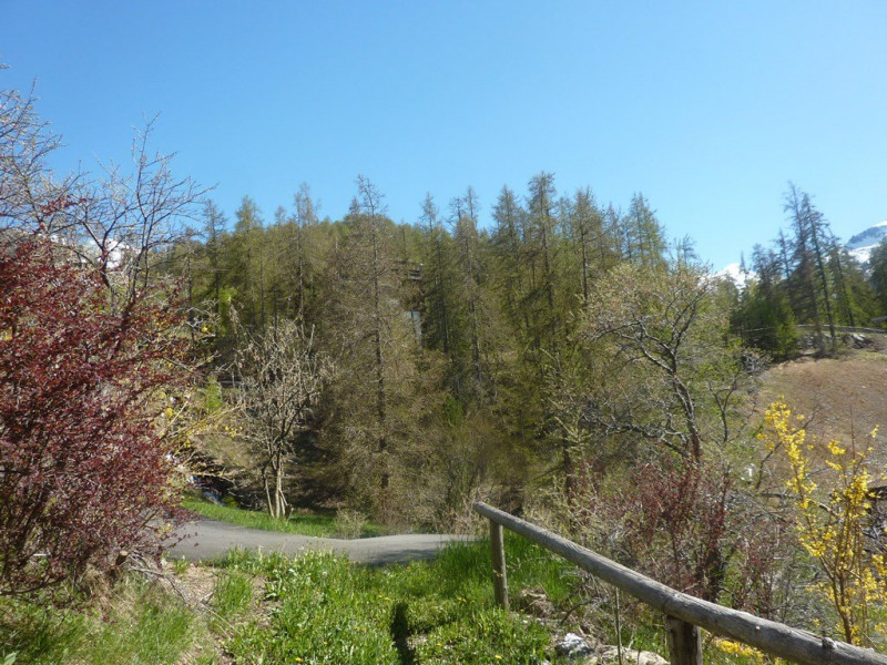 _clients_210520001_photos_459j_11149964 _clients_210520001_photos_459j_11149964