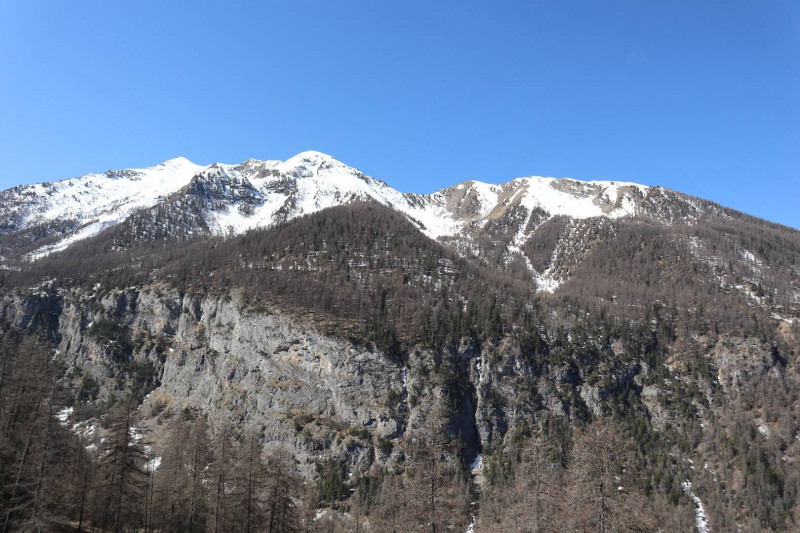 _clients_210520001_photos_485j_10189015 _clients_210520001_photos_485j_10189015