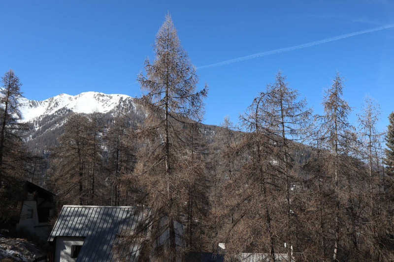 _clients_210520001_photos_505k_11083442 _clients_210520001_photos_505k_11083442