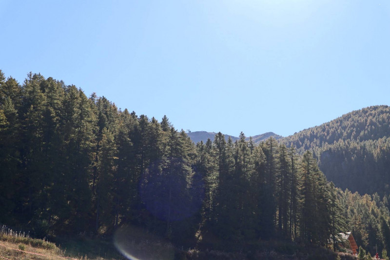 _clients_210520001_photos_522i_11346507