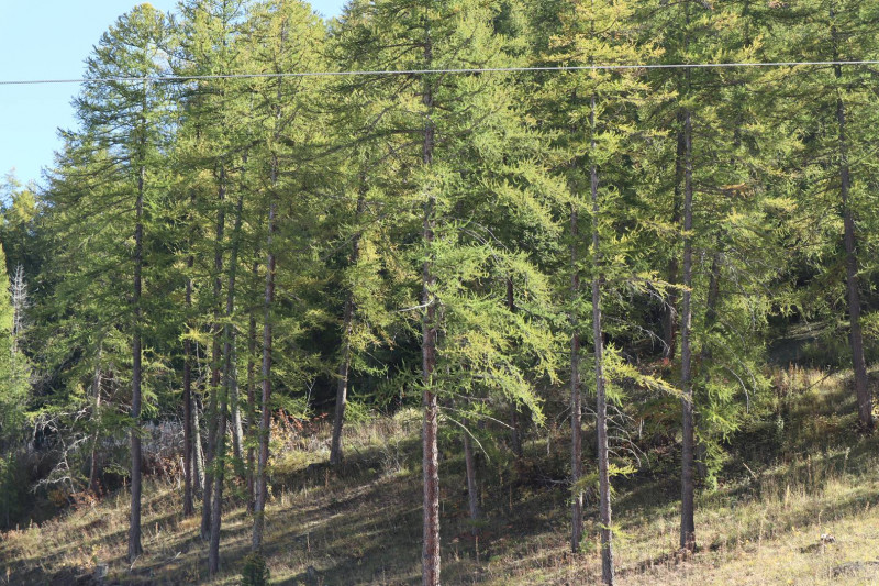 _clients_210520001_photos_522j_10114666 _clients_210520001_photos_522j_10114666