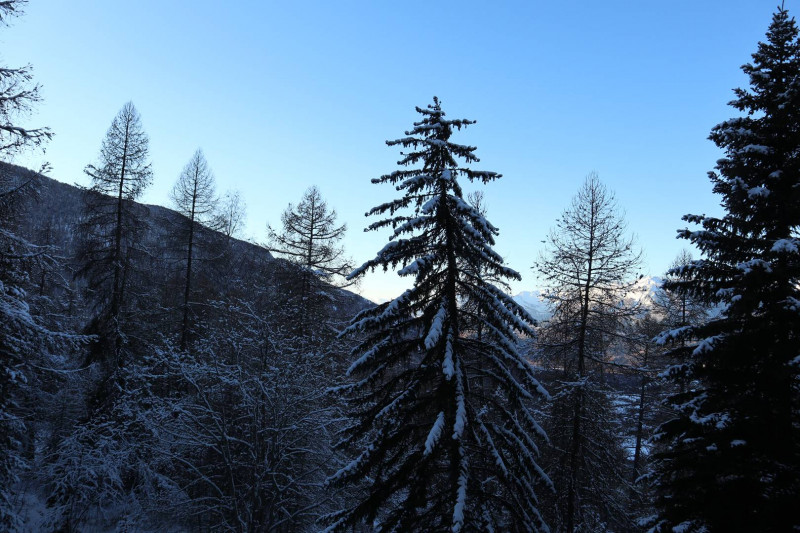 _clients_210520001_photos_540i_10172807 _clients_210520001_photos_540i_10172807