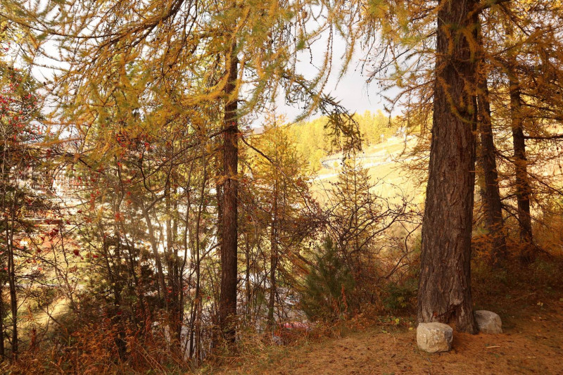 _clients_210520001_photos_541h_10824325 _clients_210520001_photos_541h_10824325