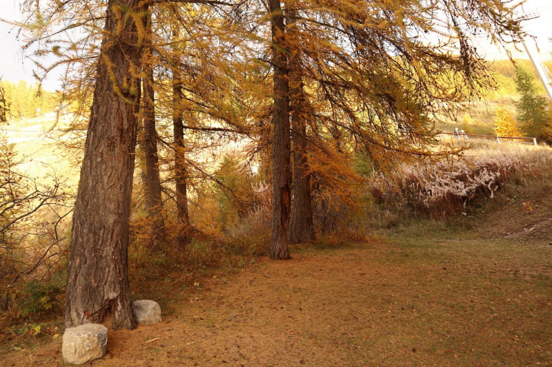 _clients_210520001_photos_541i_12304705 _clients_210520001_photos_541i_12304705