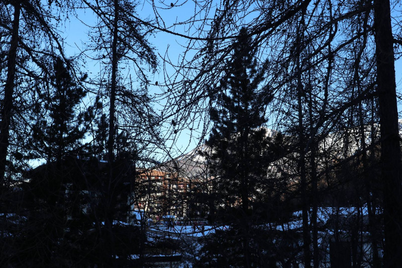 _clients_210520001_photos_541k_11289037