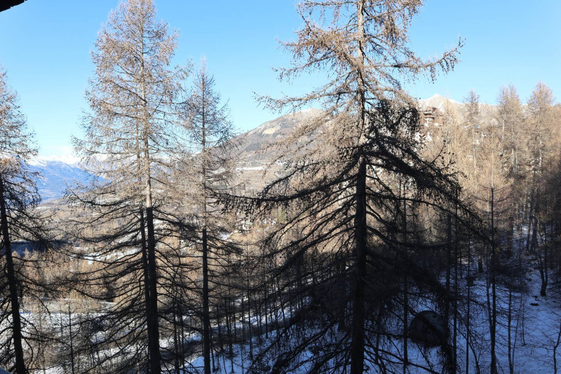 _clients_210520001_photos_549f_10790856 _clients_210520001_photos_549f_10790856