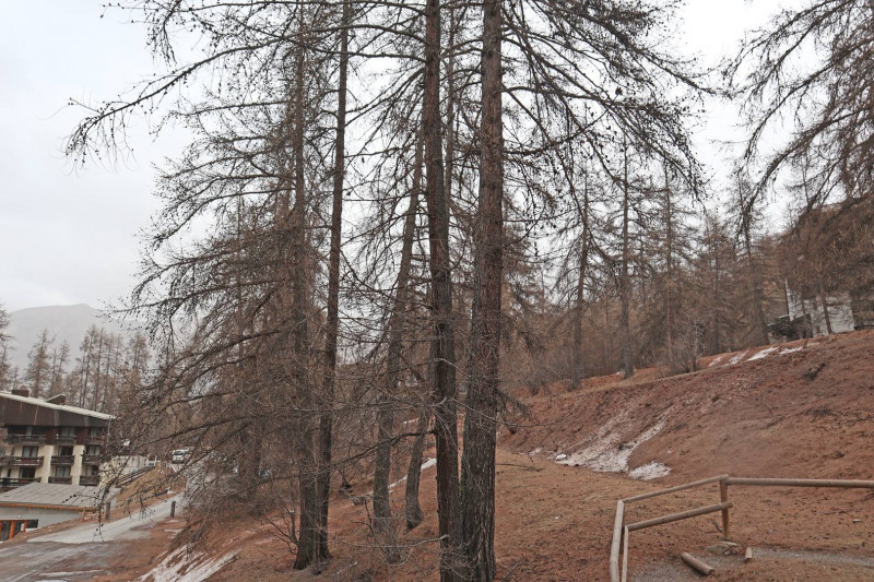 _clients_210520001_photos_565i_9848724 _clients_210520001_photos_565i_9848724