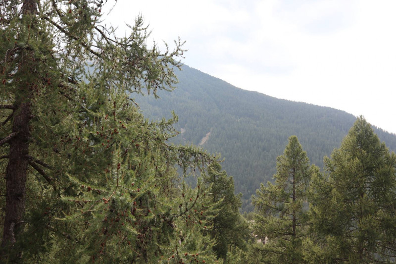 _clients_210520001_photos_577l_11264580