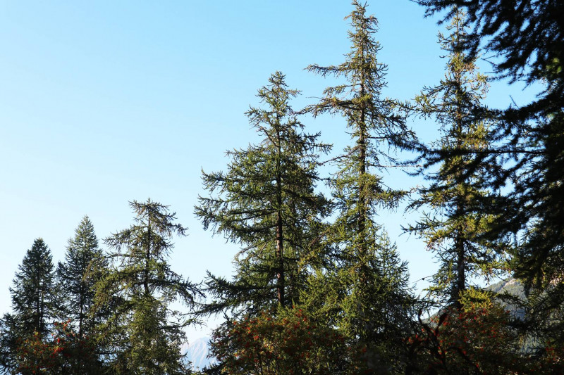 _clients_210520001_photos_58h_10606873