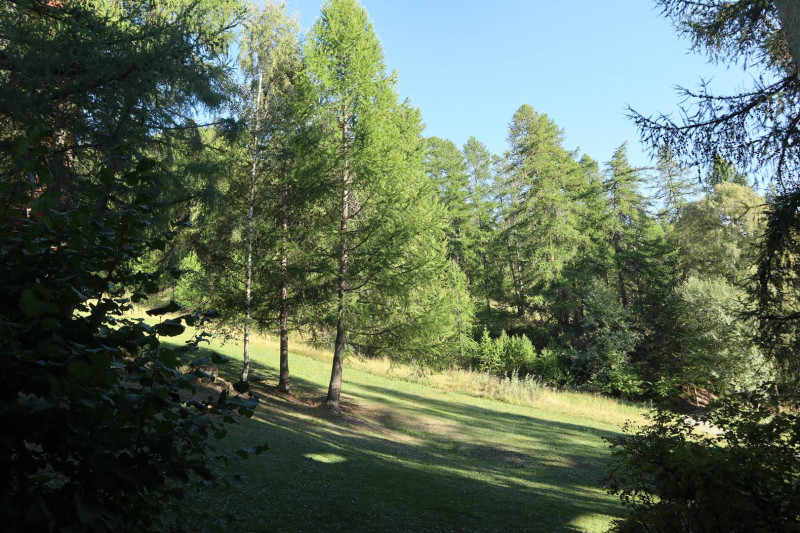 _clients_210520001_photos_58i_11175841