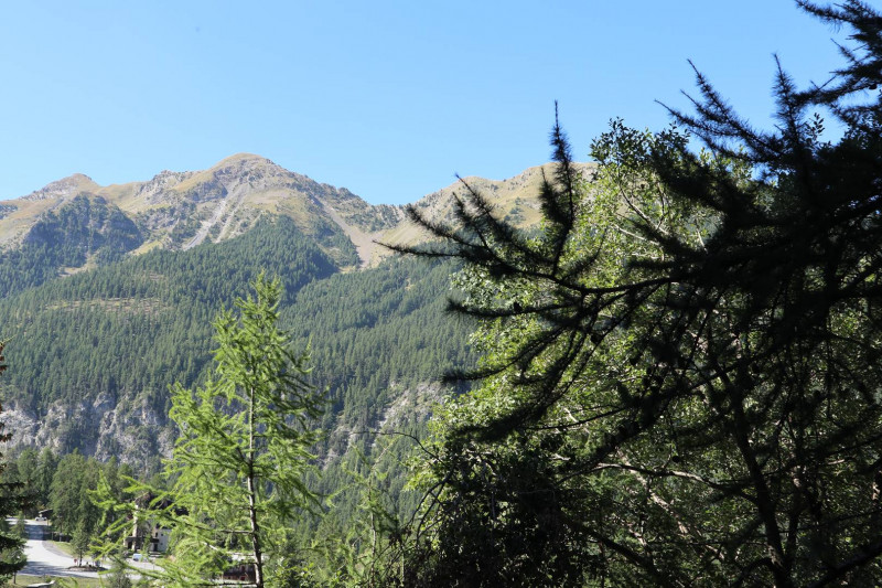 _clients_210520001_photos_590j_10791165 _clients_210520001_photos_590j_10791165