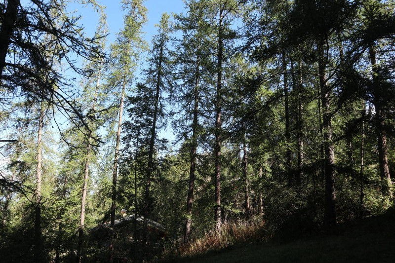 _clients_210520001_photos_590k_11256467