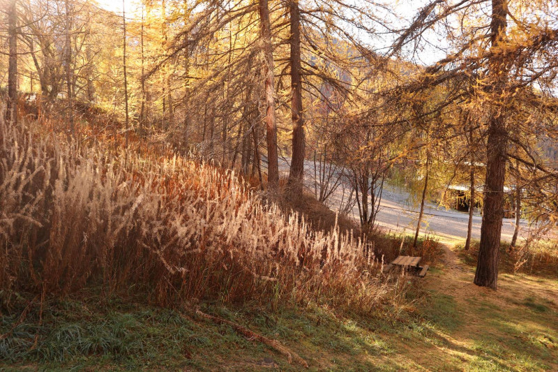 _clients_210520001_photos_604j_10615441