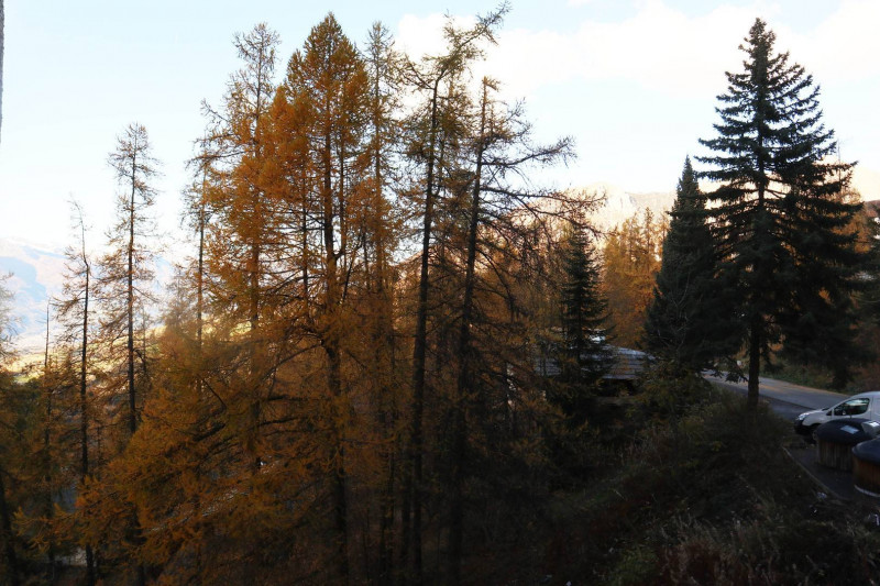 _clients_210520001_photos_605g_11084147 _clients_210520001_photos_605g_11084147