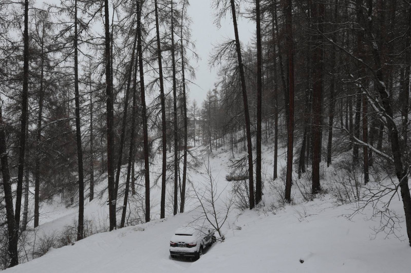 _clients_210520001_photos_625g_10046350