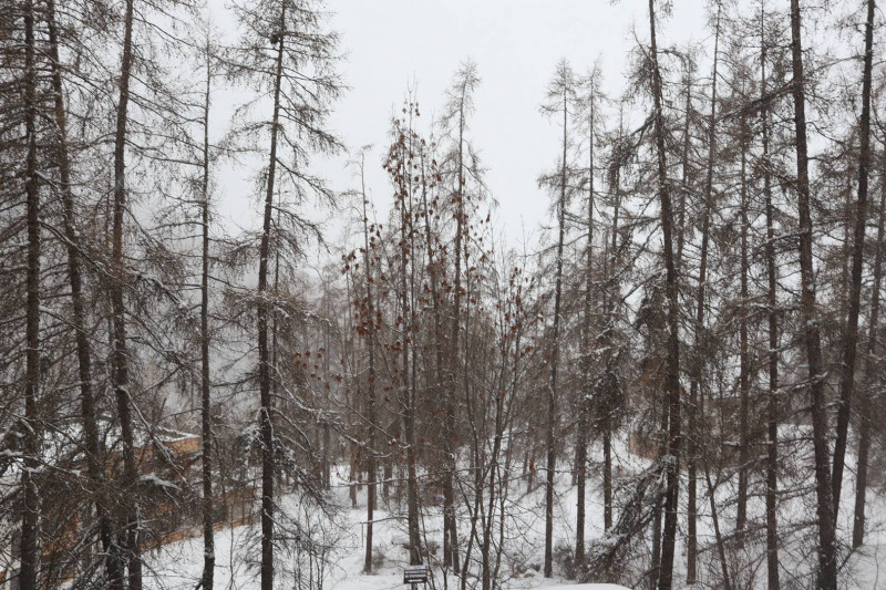 _clients_210520001_photos_625h_10456723