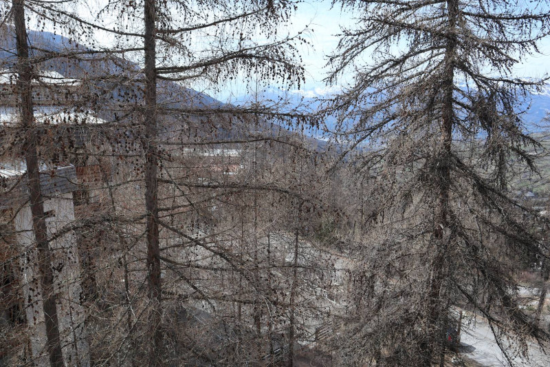 _clients_210520001_photos_634k_10231740 _clients_210520001_photos_634k_10231740